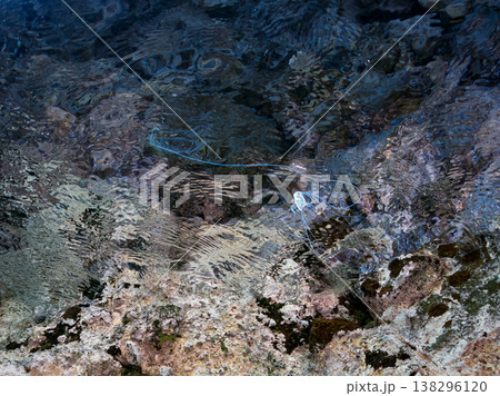 水面を泳ぐイトヒキアジ幼魚。他。 ヒリゾ浜南伊豆町中木 静岡県伊豆半島-2025 日本有数のシュノー 138296120