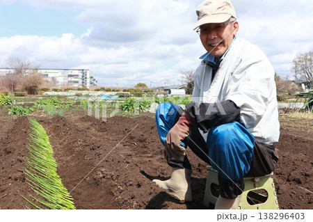 ネギ苗を植え付ける男性 138296403