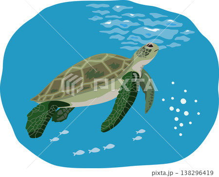 アオウミガメ　背景付き 138296419