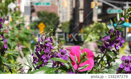 Flowers near Broadway street and Union Square, Manhattan Midtown road, New York City, United States. Flowers near Broadway street and Union Square, Manhattan Midtown road, New York City, United States. 138297279