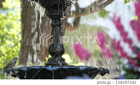 New York Manhattan Midtown Madison Square Park, USA. Birds in fountain. 5 fifth avenue and Broadway. New York Manhattan Midtown Madison Square Park, USA. Birds in fountain. 5 fifth avenue and Broadway. 138297282