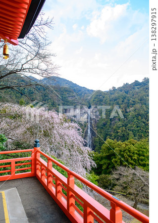 青岸渡寺三重塔から観る桜と那智の滝 和歌山県 青岸渡寺三重塔から観る桜と那智の滝 和歌山県 138297915