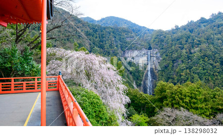 青岸渡寺三重塔から観る桜と那智の滝 和歌山県 青岸渡寺三重塔から観る桜と那智の滝 和歌山県 138298032