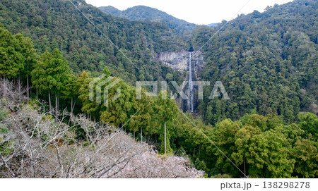 青岸渡寺三重塔から観る桜と那智の滝 和歌山県 青岸渡寺三重塔から観る桜と那智の滝 和歌山県 138298278