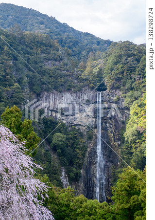 青岸渡寺三重塔から観る桜と那智の滝 和歌山県 青岸渡寺三重塔から観る桜と那智の滝 和歌山県 138298724