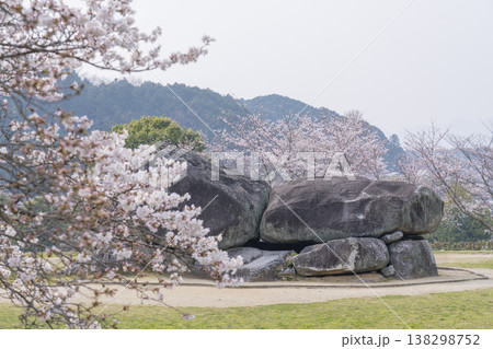 満開の桜に包まれた石舞台古墳 満開の桜に包まれた石舞台古墳 138298752