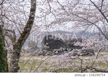 満開の桜に包まれた石舞台古墳 満開の桜に包まれた石舞台古墳 138298754