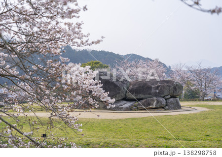 満開の桜に包まれた石舞台古墳 138298758