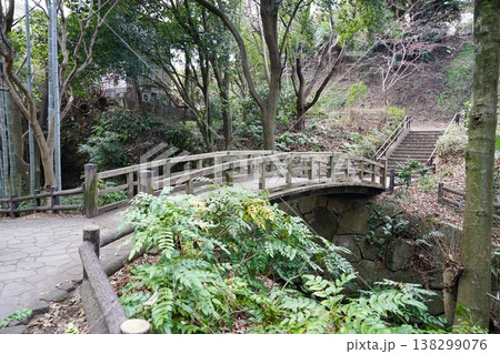 帷子川親水緑道 138299076