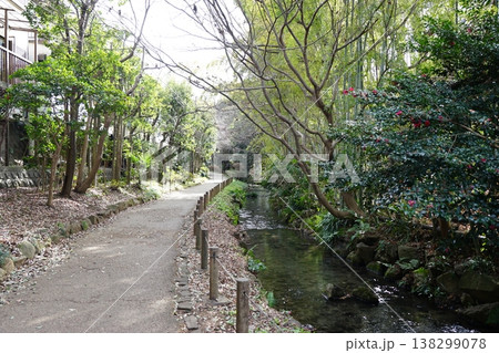 帷子川親水緑道 138299078