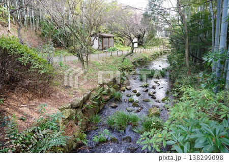 帷子川親水緑道 138299098