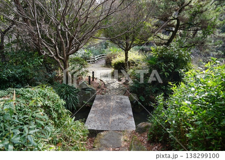 帷子川親水緑道 138299100