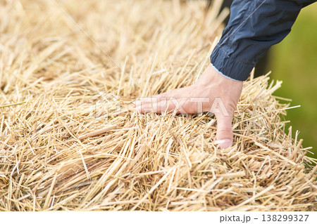 Hand touching dry wheat straw in harvested field with natural texture and golden agricultural Hand touching dry wheat straw in harvested field with natural texture and golden agricultural 138299327