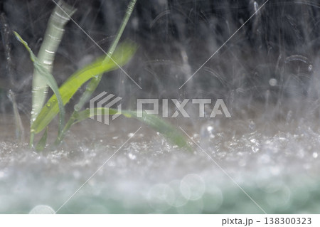 激しく降る雨のイメージ 激しく降る雨のイメージ 138300323
