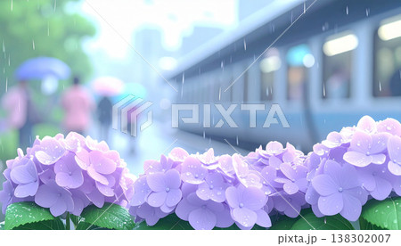 雨に濡れる紫陽花と傘をさして電車の駅近くを歩く人々　日本の梅雨の日常風景 138302007