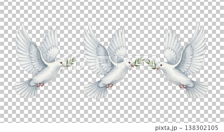 Three white doves flying with olive branches in their beaks, isolated on a transparent background for design and illustration purposes 138302105