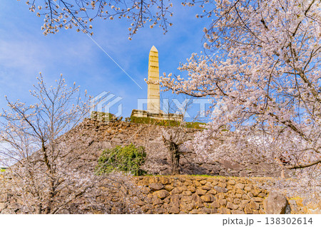 （山梨県） 桜咲く舞鶴城公園（甲府城跡） 138302614