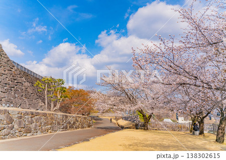(山梨県) 桜咲く舞鶴城公園(甲府城跡) (山梨県) 桜咲く舞鶴城公園(甲府城跡) 138302615