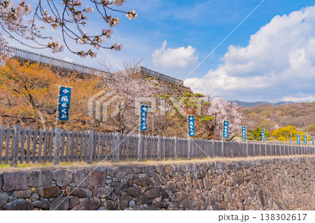 （山梨県） 桜咲く舞鶴城公園（甲府城跡） 138302617