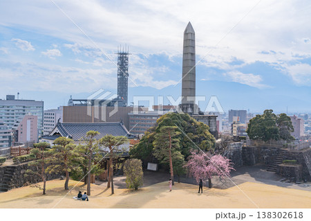 (山梨県) 桜咲く舞鶴城公園(甲府城跡) (山梨県) 桜咲く舞鶴城公園(甲府城跡) 138302618