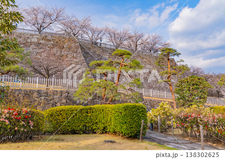 （山梨県） 桜咲く舞鶴城公園（甲府城跡） 138302625