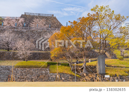 （山梨県） 桜咲く舞鶴城公園（甲府城跡） 138302635