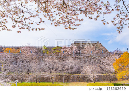 (山梨県) 桜咲く舞鶴城公園(甲府城跡) (山梨県) 桜咲く舞鶴城公園(甲府城跡) 138302639