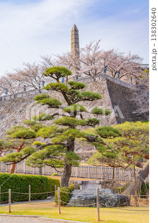 （山梨県） 桜咲く舞鶴城公園（甲府城跡） 138302640
