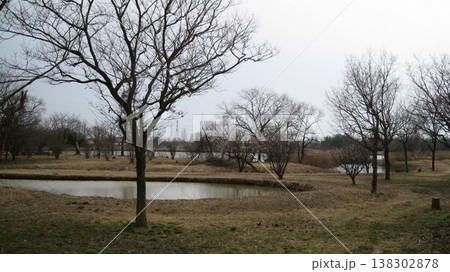 林と池のある風景 林と池のある風景 138302878