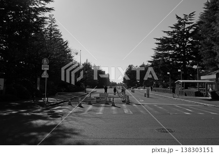 東京・明治神宮外苑周辺の静かな街路風景 東京・明治神宮外苑周辺の静かな街路風景 138303151