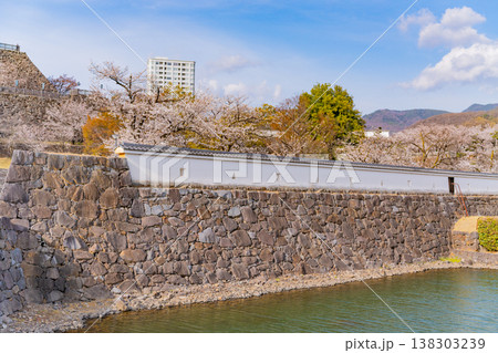 (山梨県) 桜咲く舞鶴城公園(甲府城跡)から見下ろす甲府の街並み (山梨県) 桜咲く舞鶴城公園(甲府城跡)から見下ろす甲府の街並み 138303239