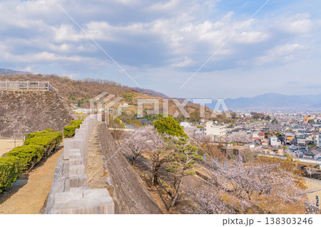 (山梨県) 桜咲く舞鶴城公園(甲府城跡)から見下ろす甲府の街並み (山梨県) 桜咲く舞鶴城公園(甲府城跡)から見下ろす甲府の街並み 138303246