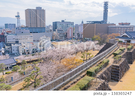 （山梨県） 桜咲く舞鶴城公園（甲府城跡）から見下ろす甲府の街並み 138303247