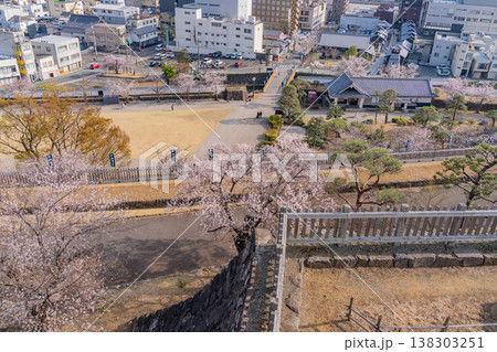 （山梨県） 桜咲く舞鶴城公園（甲府城跡）から見下ろす甲府の街並み 138303251