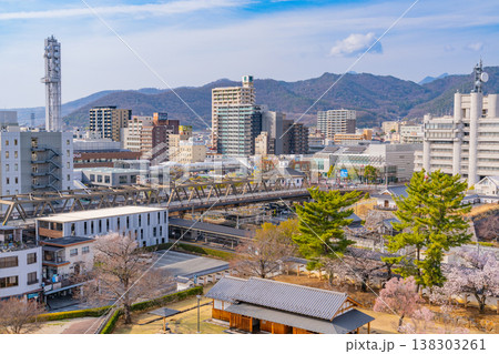 (山梨県) 桜咲く舞鶴城公園(甲府城跡)から見下ろす甲府の街並み (山梨県) 桜咲く舞鶴城公園(甲府城跡)から見下ろす甲府の街並み 138303261