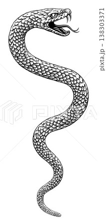 Snake Coiled Serpent Vintage Style Illustration Snake Coiled Serpent Vintage Style Illustration 138303371