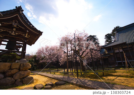 万葉の里に春の訪れ 138303724