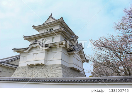 桜に彩られた天守閣 138303746