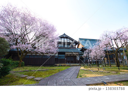 万葉の里に春の訪れ 138303788