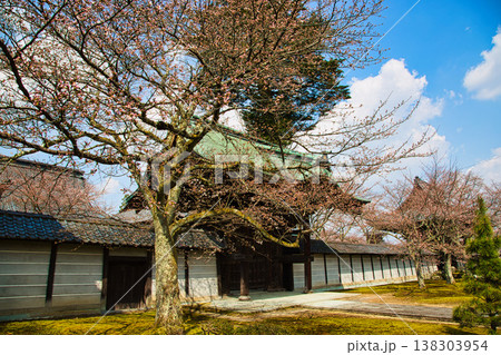 万葉の里に春の訪れ 138303954