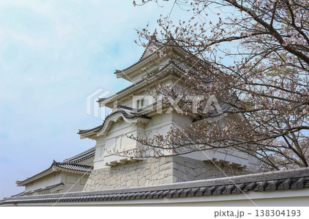 桜の木と関宿城 138304193