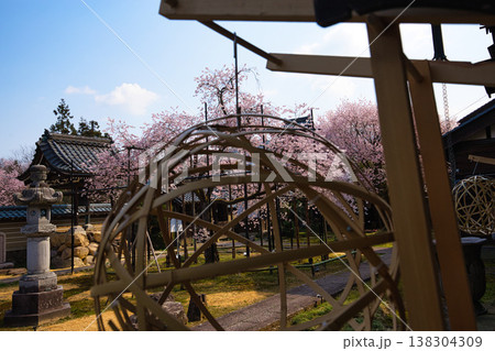 万葉の里に春の訪れ 138304309