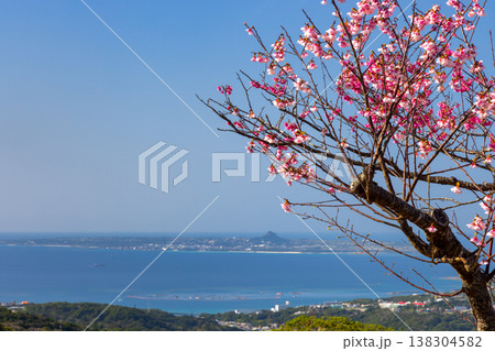 沖縄県国頭郡本部町　もとぶ八重岳桜まつり開催の八重岳中腹から琉球寒緋桜と海と伊江島の眺望 138304582