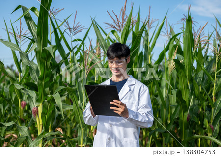 Asian agricultural researcher man looking at clipboard while standing among green crop trees in farm Asian agricultural researcher man looking at clipboard while standing among green crop trees in farm 138304753