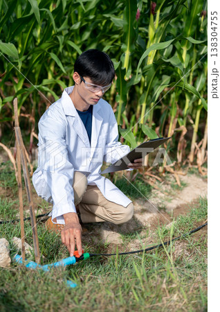 Asian agricultural researcher man checking water system while sitting crouching in green crop farm. Asian agricultural researcher man checking water system while sitting crouching in green crop farm. 138304755