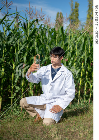 Asian agricultural researcher man holding beaker looking at sample as sitting crouching in crop farm Asian agricultural researcher man holding beaker looking at sample as sitting crouching in crop farm 138304766