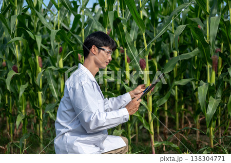 Asian agricultural researcher man looking at clipboard holding green crop sitting crouching in farm 138304771