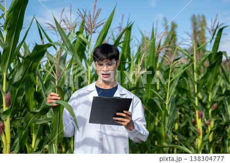 Asian agricultural researcher man looking at clipboard holding green crop leaf while walking in farm Asian agricultural researcher man looking at clipboard holding green crop leaf while walking in farm 138304777