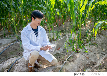 Asian agricultural researcher man working on laptop while sitting crouching over soil in crop farm. 138304792