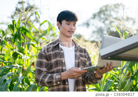 Asian farmer man in checkered shirt looking at laptop as standing in green corp farm under sunlight. Asian farmer man in checkered shirt looking at laptop as standing in green corp farm under sunlight. 138304817